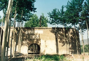 ���G�P(gu��n)