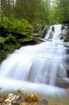 ���ƹŶ��ٲ�