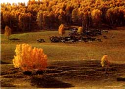 ľ�m����(ch��ng)�ט���