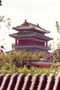 ���µ�һ��