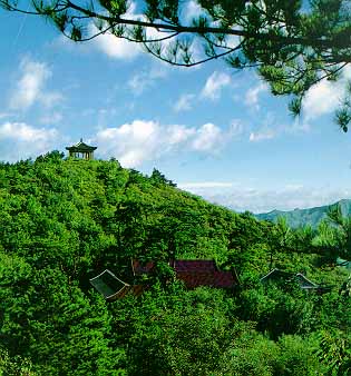 �����G�Z