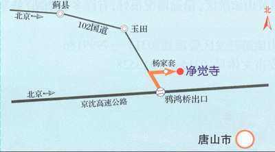 ���X��·���D