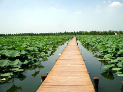 ������tɏ7̖�r��Ժ