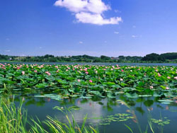 ������tɏ7̖�r��Ժ