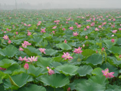 ������tɏ7̖�r��Ժ