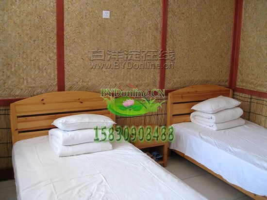 ������p���g