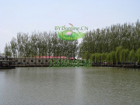 �����~��