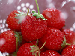 �yɽ����81̖(h��o)�r(n��ng)��Ժ