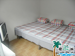 �����͗�28̖