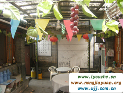 ����º�¸��͗�68̖