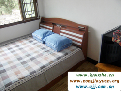 ����º�¸��͗�68̖