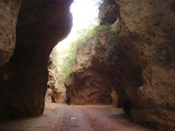 ����¸�����