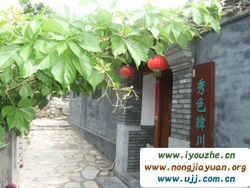 �������ɫ�n���͗�