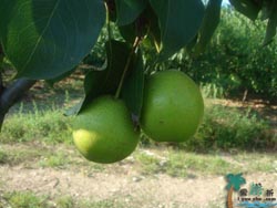 �Ծ����A���r��Ժ