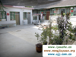 �ű��ں��������˼��r��Ժ