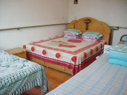 �˜ʶ����g