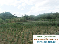 ���ȸ��ժ�^��@