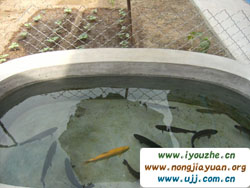 ���V�~һ�l����������񸻿͘���