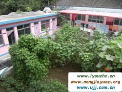 ���V�~һ�l����������񸻿͘���