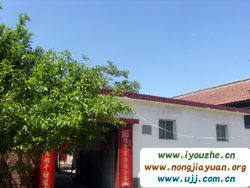 ����̶�κ�ϼ�r��Ժ