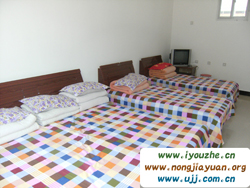 ʯ��·�����r��Ժ