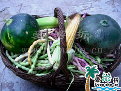 ����̶���چ��r��Ժ