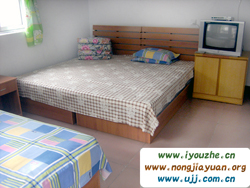 �S���Ǻ��V�