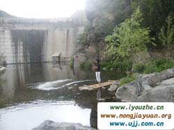 �S���Ǻ��V�