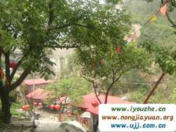 �S���Ǻ��V�