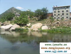 �S���������r��Ժ