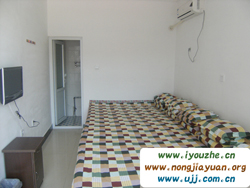 �S���������r��Ժ