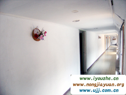 �S��������ɽ�f