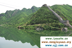 �S�����w�����r��Ժ