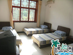 �S�����w�����r��Ժ