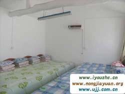 ���|��{�ȿ�ɽ�ɚg���r��