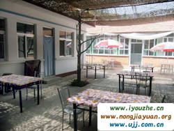 ���|��{�ȿ�ɽ�ɚg���r��