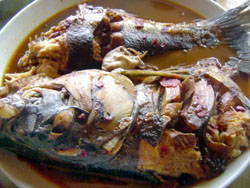 ���|��{���R��־�r��Ժ