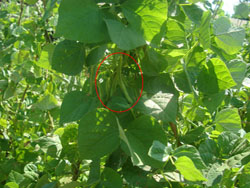 ����¡���B�r�I����ɽ�f