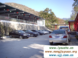 91̖���e�ȼٴ�