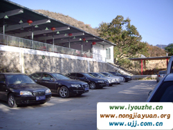 91̖���e�ȼٴ�