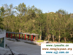 91̖���e�ȼٴ�