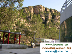 91̖���e�ȼٴ�