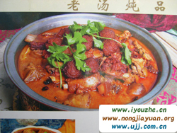 91̖���e�ȼٴ�