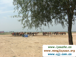 ������ԭ�����Tʿ�㘷��