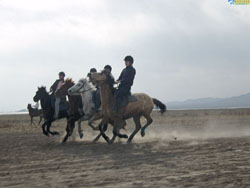 ������ԭ�����Tʿ�㘷��