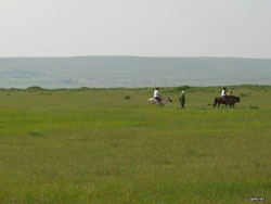 ������ԭ�����Tʿ�㘷��