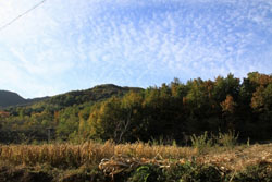 �����ӑcˮī�നɽ�f