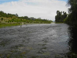 �����{���ف��r��Ժ