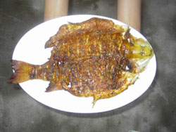 �����{�������e�r��Ժ