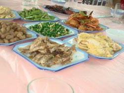 ��������Ȫ�